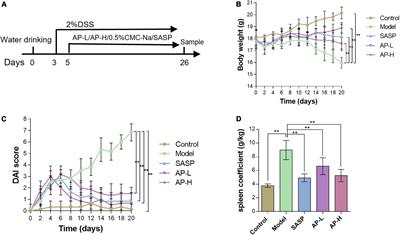 Apigenin remodels the gut microbiota to ameliorate ulcerative colitis